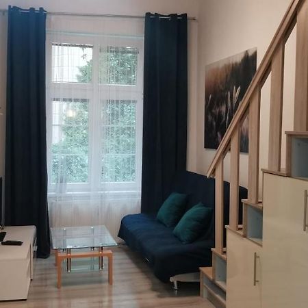 New Cosy Studio Карловы Вары Экстерьер фото