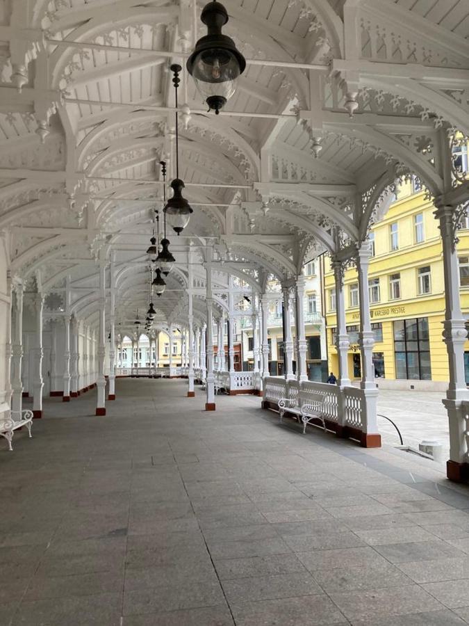New Cosy Studio Карловы Вары Экстерьер фото