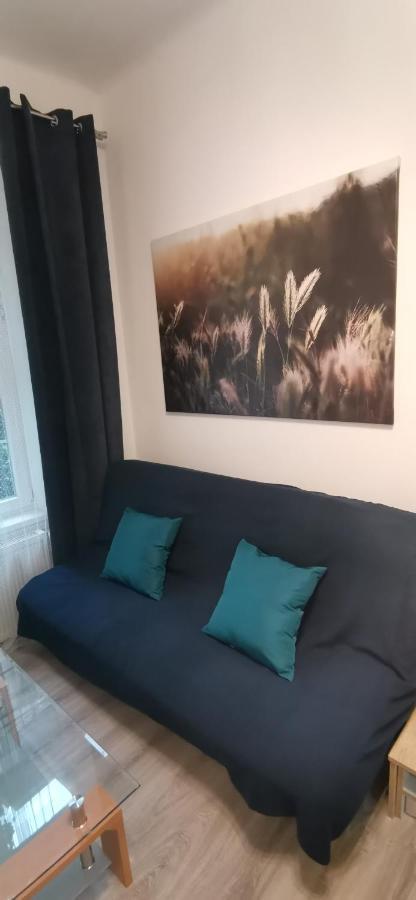 New Cosy Studio Карловы Вары Экстерьер фото