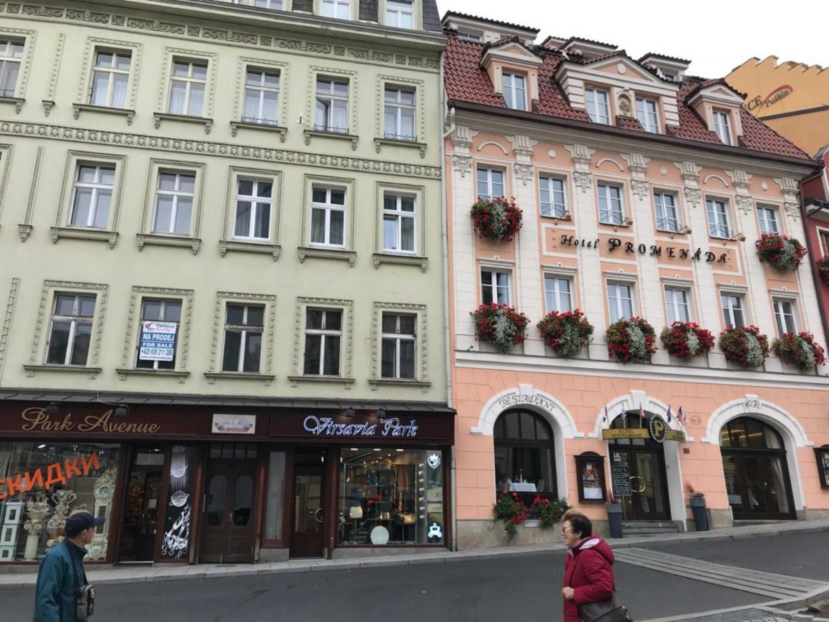 New Cosy Studio Карловы Вары Экстерьер фото